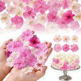 40 Pcs 2 Kinds Natural Pressed Dried Edible Flowers for Cake Topper Pink Dried Flower