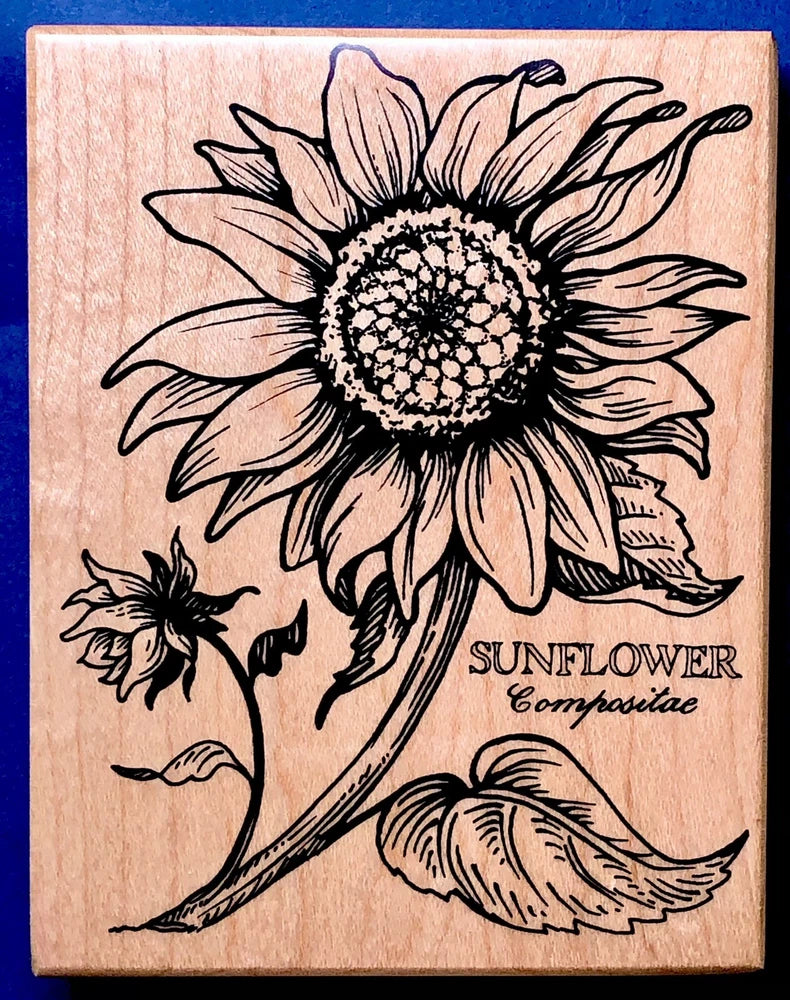 SUNFLOWER PSX K-025 1992 Compositae Botanical Seeds Petals Bloom Garden Flower Sunflower