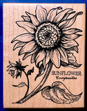 SUNFLOWER PSX K-025 1992 Compositae Botanical Seeds Petals Bloom Garden Flower Sunflower