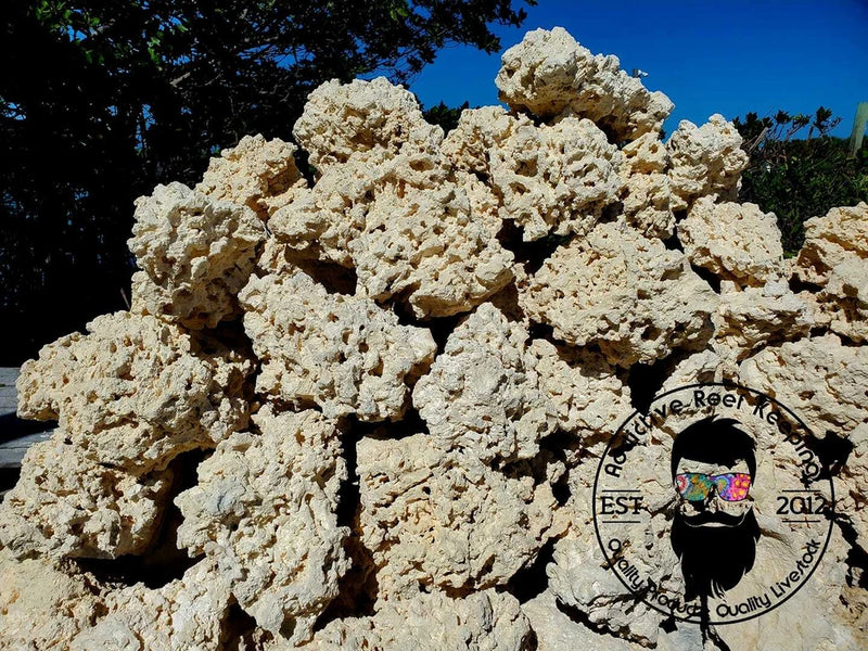 30 lbs Extra Large Dry Reef Rock Aragonite Base, Porous Aquariums Live Anemone