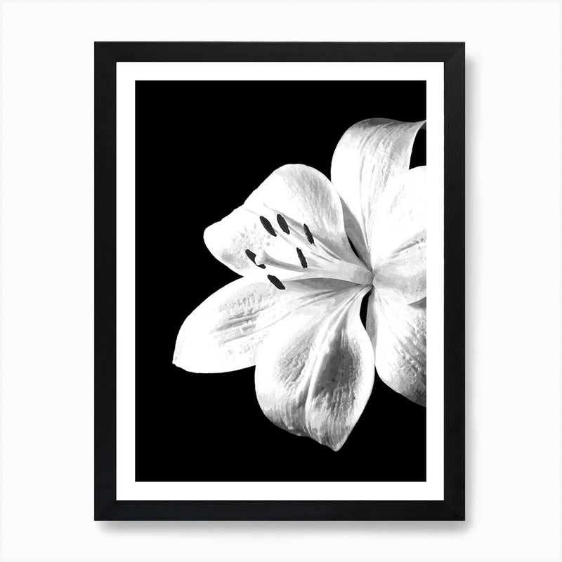 Framed wall art canvas print with monochrome lily flower illustration