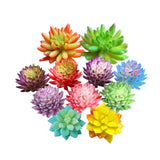 11PCS Assorted Multicolor Artificial Succulent Plants Textured Cactus Aloe Su... Green Plant