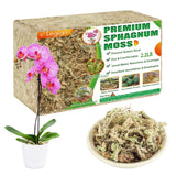 Legigo 2.2LBS Premium Sphagnum Moss for Plants- 40QT 40 QT(Appx.2.2lb) Orchids