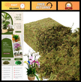 Large Capacity 2.2LB Fresh Green Fake Moss for Indoor Plants & Crafts - Home Dec Green Plant