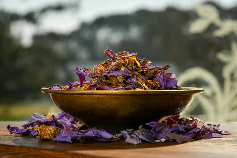 Dried blue lotus flowers in wooden bowl with scattered petals