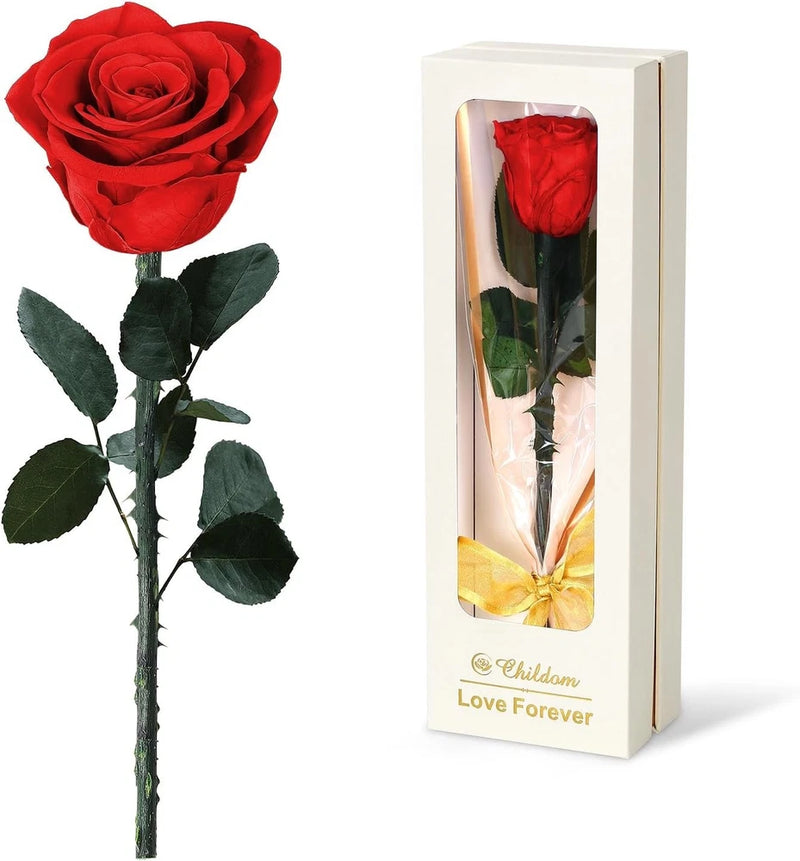 Preserved red rose gift with display box and window, warm LED glow, Childom Love Forever