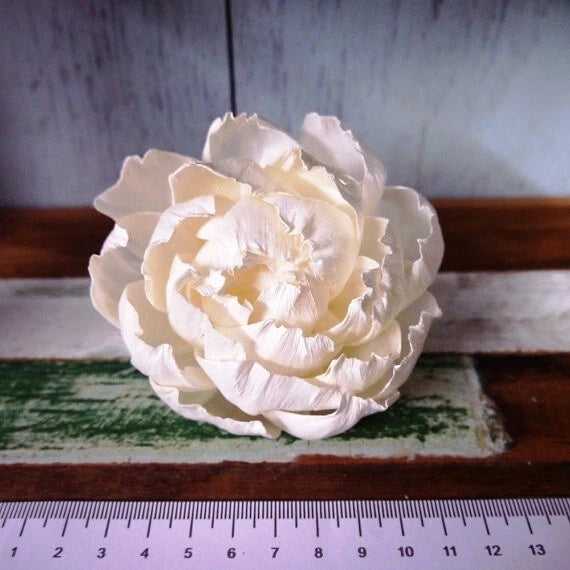 9 Peony Rose Sola Wood Diffuser Flowers 8 cm Dia. with Cotton Rope. for Decorate Peony