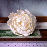 9 Peony Rose Sola Wood Diffuser Flowers 8 cm Dia. with Cotton Rope. for Decorate Peony