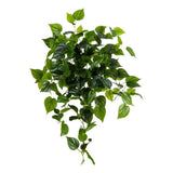Nearly Natural 32" UV Resistant Philodendron Hanging Plant - Set of 2 in Green Green Plant