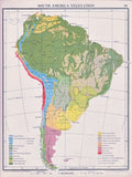 1941 MAP ~ SOUTH AMERICA ~ VEGETATION FOREST PAMPAS GRASS TROPICAL Pampas Grass