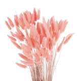 120pcs Natural Bunny Tails Dried Flowers 24" Mini Pampas Grass, Peach Pink Pampas Grass