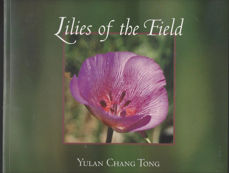 Lilies of the field lily book cover with purple flower