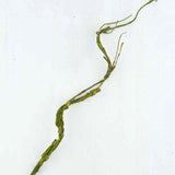 Set of 4 Tall Artificial Curly Green Willow 33" Twig Sprays Green Plant