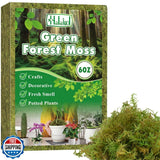 Halatool 6OZ Green Moss for Indoor Plants, 8QT Orchid Moss for Repotting, For Orchids