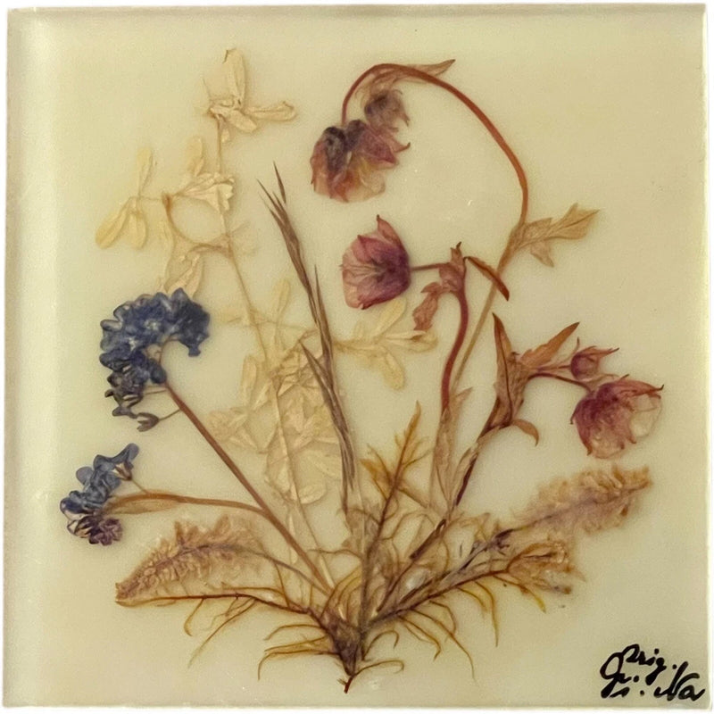 Dina Acrylglass Handmade Natural Dried Flower Germany Bavarian Alps Wall Hanging Ranunculus