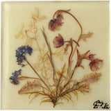 Dina Acrylglass Handmade Natural Dried Flower Germany Bavarian Alps Wall Hanging Ranunculus