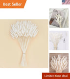 120PCS Dried Pampas Grass Spring Flowers, 17inch Bunny Tails Dried Flowers, H... Pampas Grass
