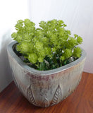 Set of 4 Artificial Lotus Grass Plastic Plants Green Plant