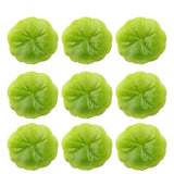 30pcs Floating Pond Plant Garden Floating Flower Decoration Fish Pond Scenery Green Plant