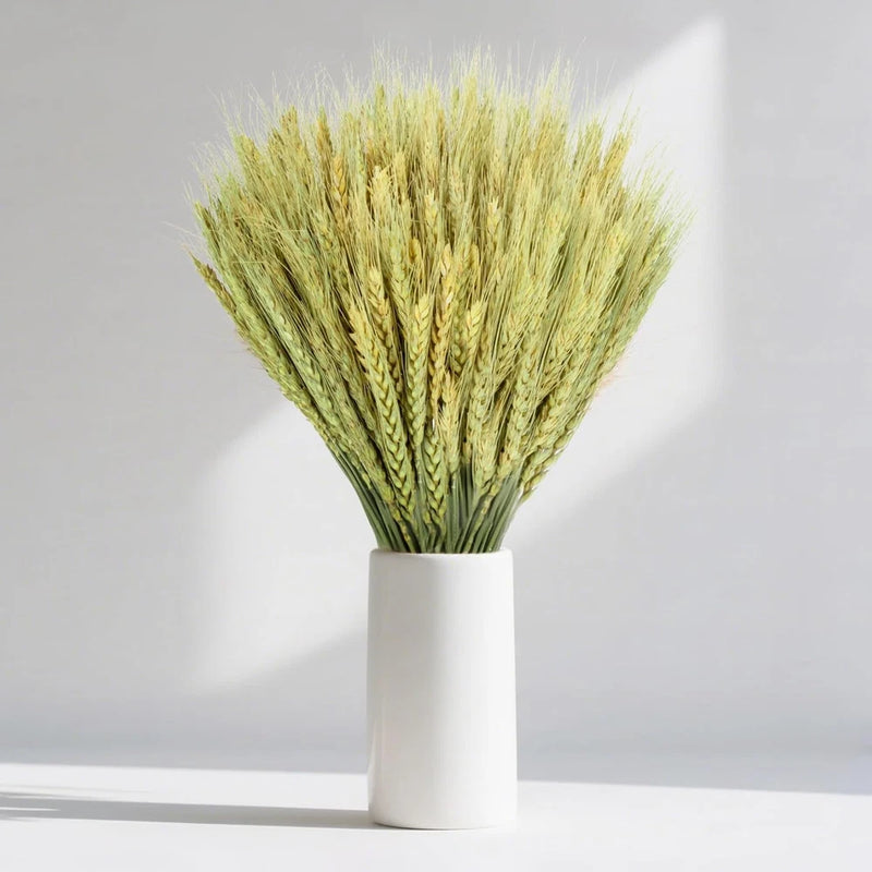 Dried Flowers for Vase - 50 Stems Natural Cyan Wheat Straw Grass 13.3 Inches Gra Dried Flower