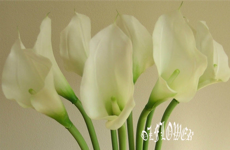 Artificial cream calla lily flowers with green stems, bundled