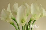 Artificial Flowers and Plants Latex PU Calla Lily F31 Lily