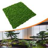 Faux Moss Artificial Green Plants for Synthetic Turf Party Scene Production Green Plant