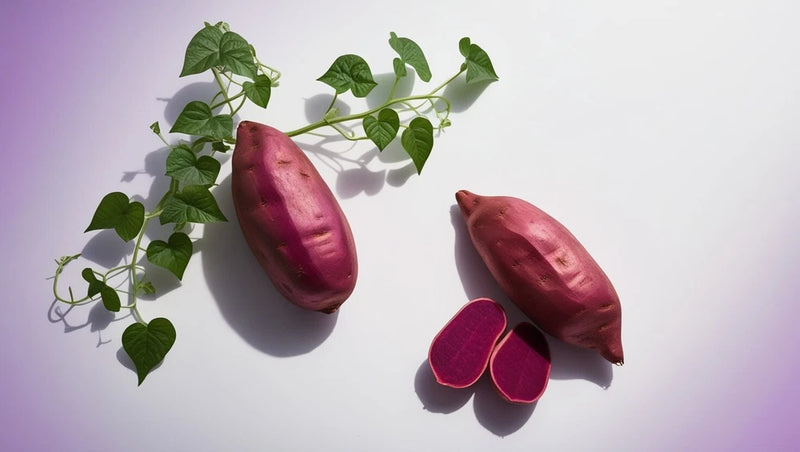 10 Purple Sweet potato Slips - Cuttings / Japanese Purple Sweet Potato Plants / Garden Plants