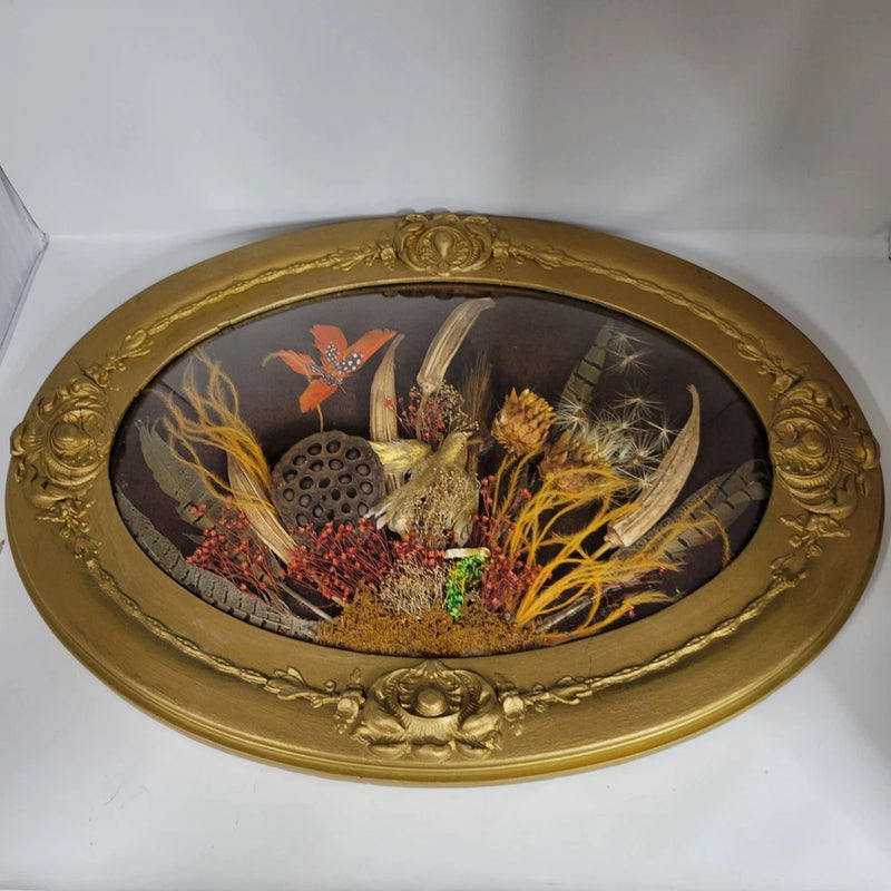Oval bubble-glass wall art with gold frame and dried flower arrangement under glass