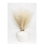 Better Homes & Gardens 14" Artificial Pampas in White Rounded Ceramic Vase Pampas Grass