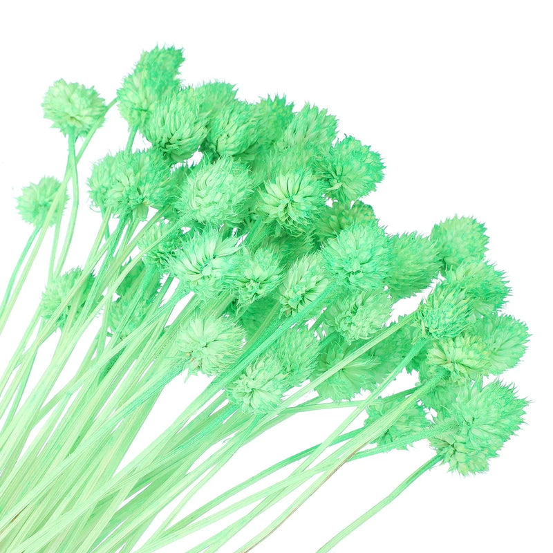 60 Pcs 16 Inch Dried Flowers for Vase Mini Pine Ball Flowers Green(Stem) Dried Flower