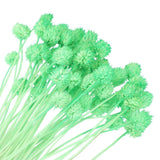 60 Pcs 16 Inch Dried Flowers for Vase Mini Pine Ball Flowers Green(Stem) Dried Flower