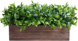 14" Artificial Boxwood Plants in Rectangular Wood Planter Farmhouse Greenery Arr Green Plant
