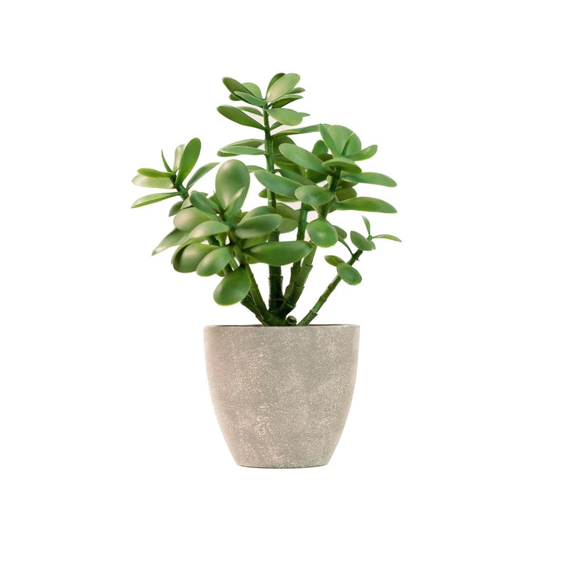 Artificial money tree plant in gray textured pot with green jade-like leaves