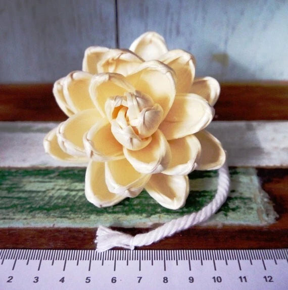 9 Lotus Sola Wood Diffuser Flowers 8 cm Dia. with Cotton Rope. for Decorate Carnation