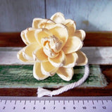 9 Lotus Sola Wood Diffuser Flowers 8 cm Dia. with Cotton Rope. for Decorate Carnation