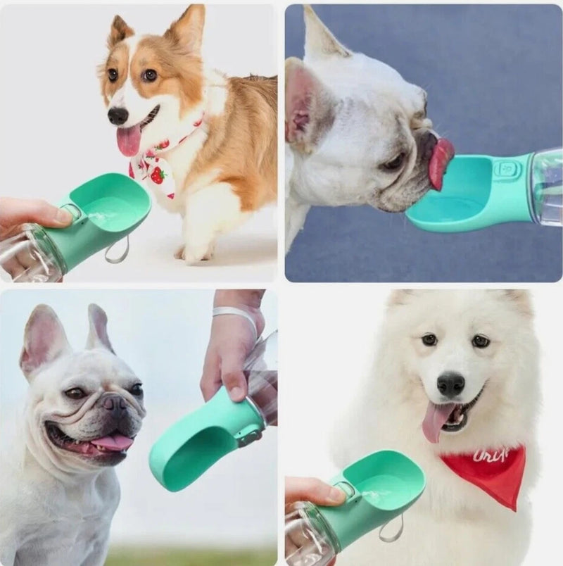 Teal portable dog water bottle with attached drinking bowl and clear 12oz bottle