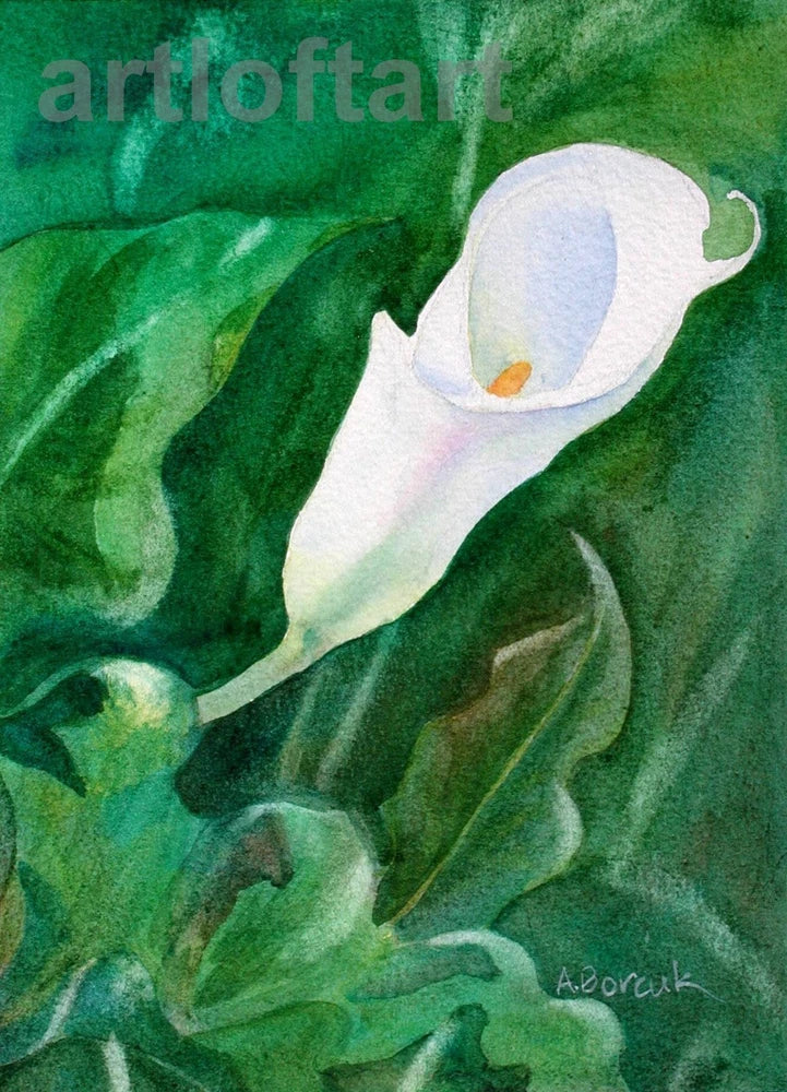 Calla lily art card print with white flower and green leaves