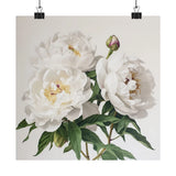 White Peonies Flower Art Print, White Flower Painting, Flower DŽcor 02 Peony