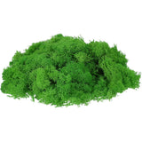 7oz Fake Preserved Reindeer Moss, Green Green Plant