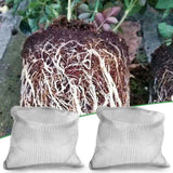 Stainless Steel Wire Mesh Root Guard Basket for Garden Bulbs and Tubers Use Garden Plants