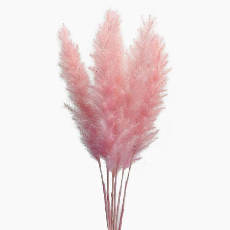 60 Stems 22 Inch Natural Dry Flowers Small Pampas Grass, Phragmites Communis,... Pampas Grass