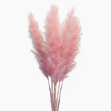 60 Stems 22 Inch Natural Dry Flowers Small Pampas Grass, Phragmites Communis,... Pampas Grass