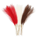 30 Pcs Faux Pampas Grass 52cm/20.5" Dried Pampas Grass Milk White/Dark Brown/Red Pampas Grass