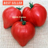 50+ Seeds Gill's Red Heart Tomato Hybrid Juicy Easy to Grow Vegetable Garden Garden Plants