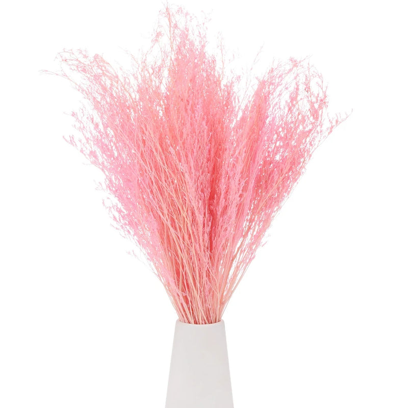 Pink dried limonium flower bouquet with airy stems, bound in white wrap