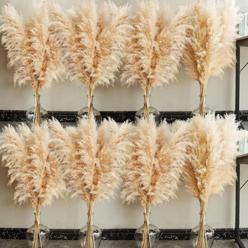 40" Inch 40 Stems Natural Pampas Grass Decor Tall, Pompas Grass, Tall Pampas Gra Pampas Grass
