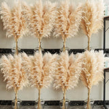 40" Inch 40 Stems Natural Pampas Grass Decor Tall, Pompas Grass, Tall Pampas Gra Pampas Grass