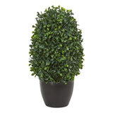 Pemberly Row 13" Boxwood Topiary Artificial Plant UV Resistant in Green/Black Green Plant