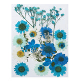 Dried Pressed Flowers Natural Leave Real Pressed Flowers Blue Series Dried Flower